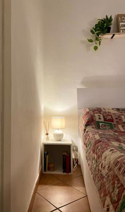 “A Ca Di Amelia” Apartment Savona Exterior foto