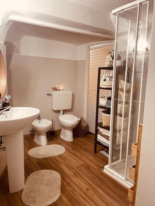 “A Ca Di Amelia” Apartment Savona Exterior foto
